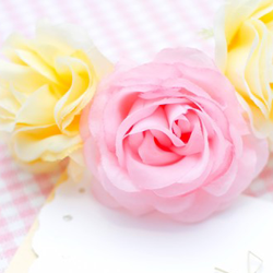 結婚相談所からの素敵なアドバイス