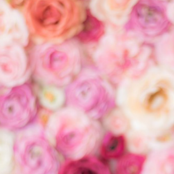 結婚相談所で求められる入会条件とは